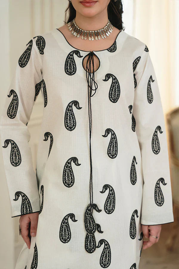 Noor Embroidered Co-Ord & Kurta Set for Modern Elegance